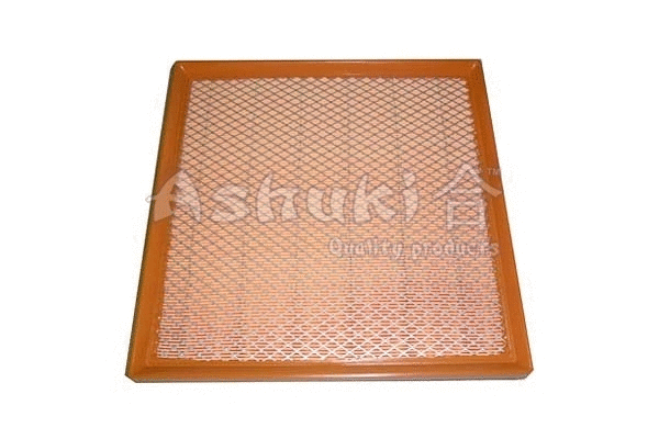 Air Filter (J005-25)