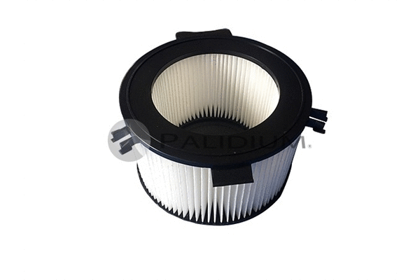 Filter, cabin air (PAL2-4047)