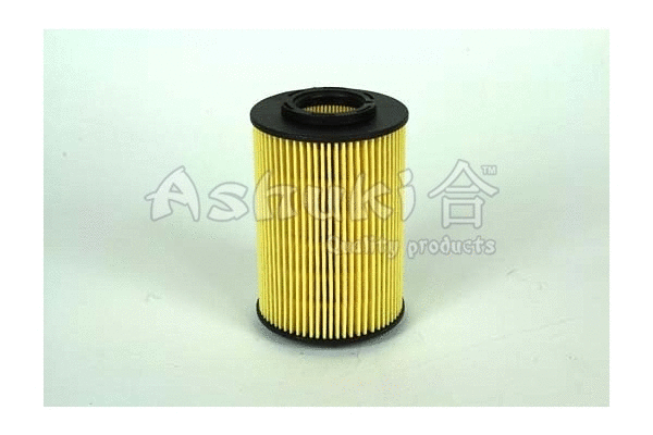 Oil Filter (Y001-30)