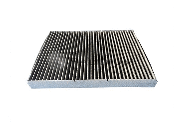 Filter, cabin air (PAL2-4007)