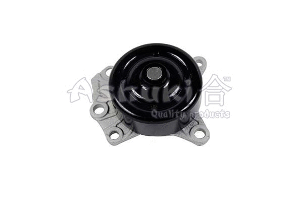 Water Pump, engine cooling (D065-05)