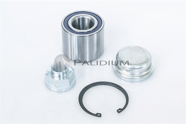 Wheel Bearing Kit (PAL6-1062)