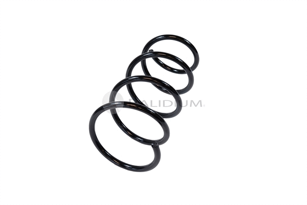 Suspension Spring (PAL10-0021)