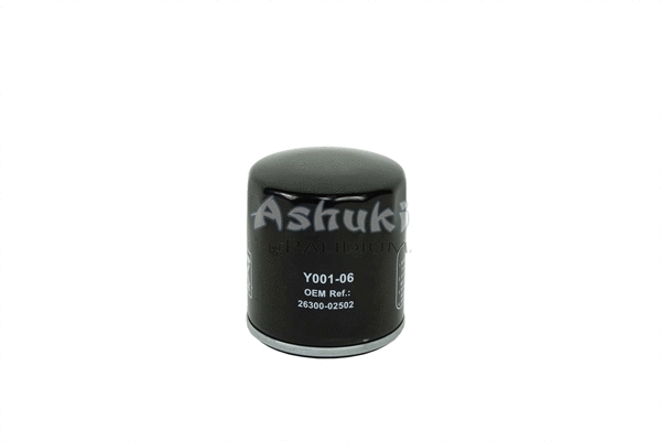 Oil Filter (Y001-06)