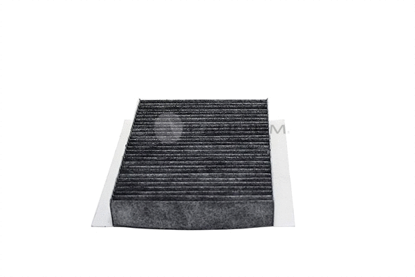 Filter, cabin air (PAL2-4400)