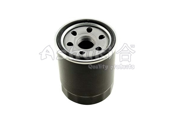 Oil Filter (C021-02)