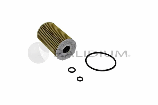 Oil Filter (PAL2-8001)