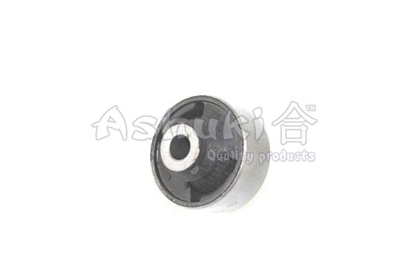 Mounting, control/trailing arm (1470-4301R)
