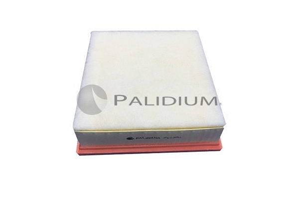 Air Filter (PAL2-2061)