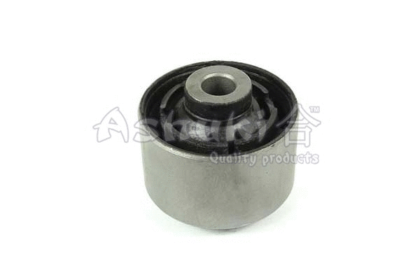 Mounting, control/trailing arm (N892-16)