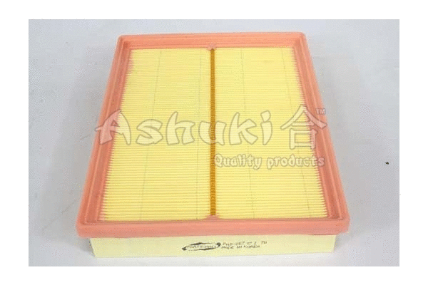 Air Filter (Y017-01)