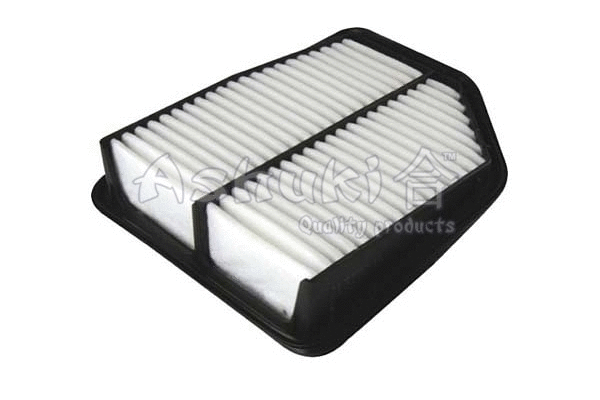 Air Filter (0396-2408)