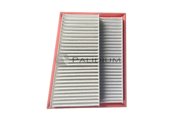 Air Filter (PAL2-2076)