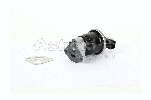 EGR Valve (H222-09)