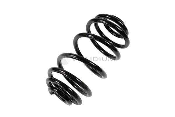 Suspension Spring (PAL10-1019)