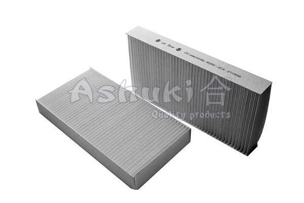 Filter, cabin air (H098-06)