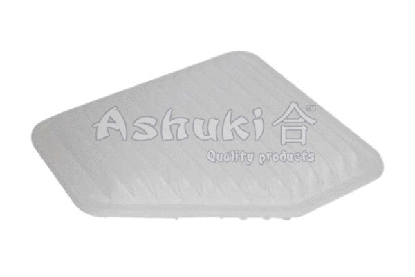 Air Filter (0396-1012)