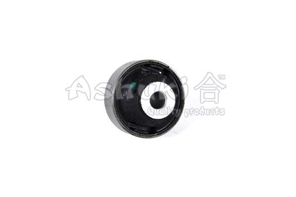 Mounting, control/trailing arm (N892-01)