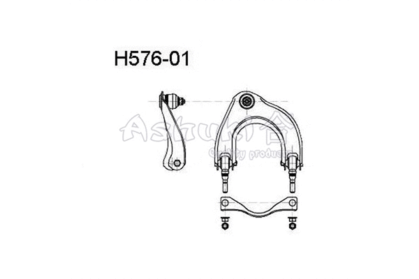 Control/Trailing Arm, wheel suspension (H576-01)
