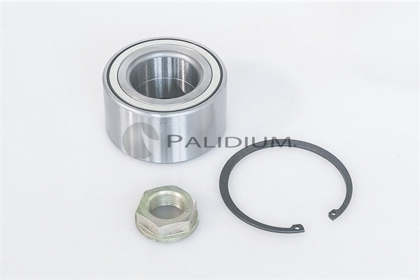 Wheel Bearing Kit (PAL6-1036)