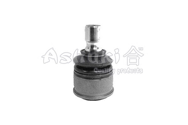 Ball Joint (M875-26)