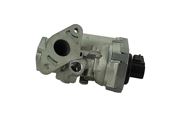 EGR Valve (PAL16-0004)