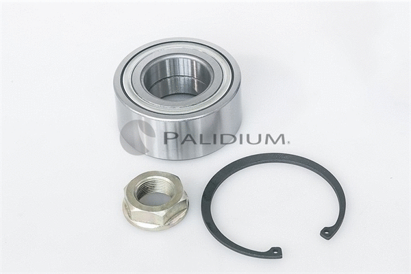 Wheel Bearing Kit (PAL6-1007)