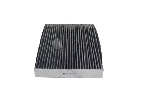 Filter, cabin air (PAL2-4401)