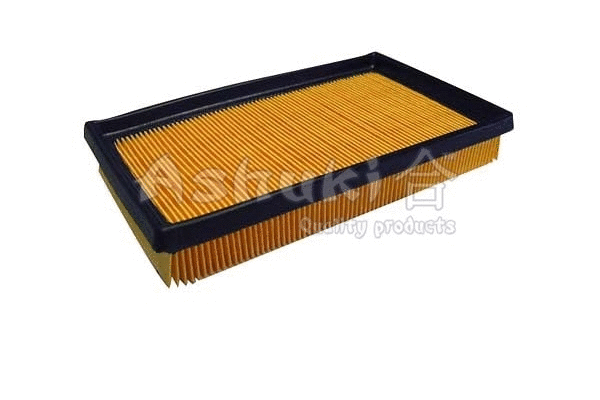 Air Filter (K004-30)