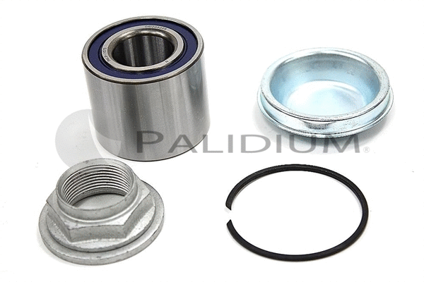 Wheel Bearing Kit (PAL6-1079)