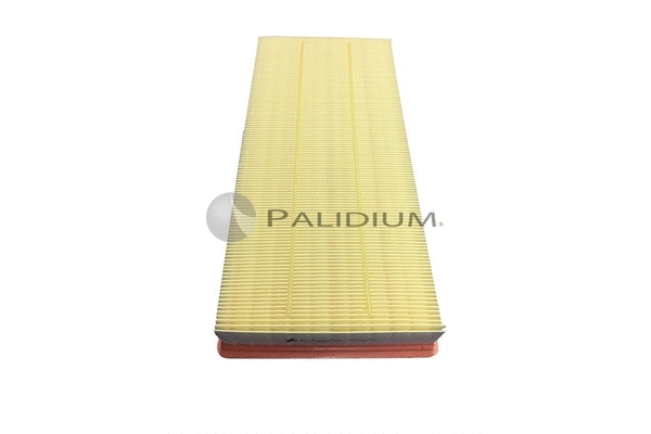 Air Filter (PAL2-2087)