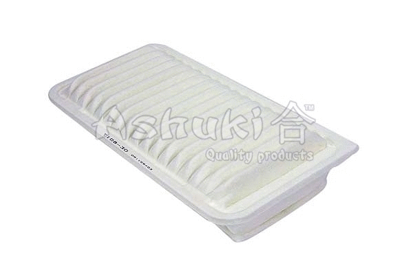 Air Filter (T108-30)
