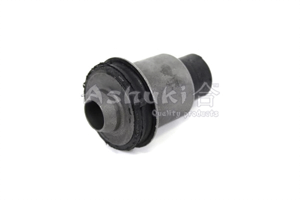 Bushing, axle beam (N754-66)