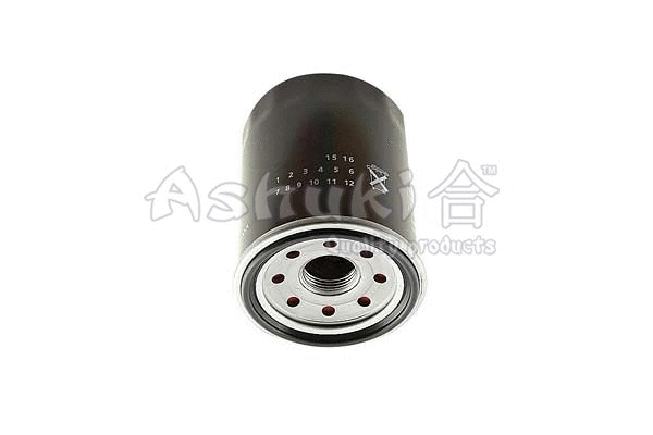 Oil Filter (H081-06I)