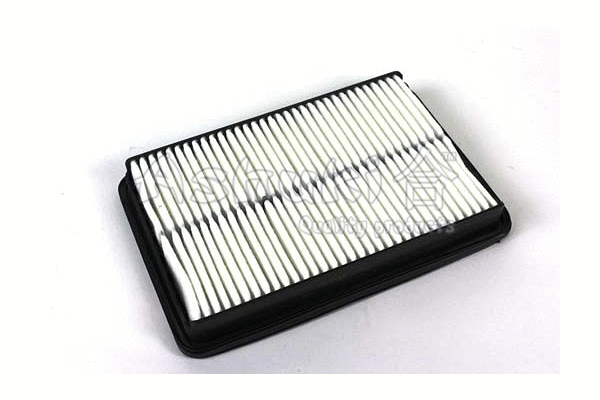 Air Filter (Y017-48)