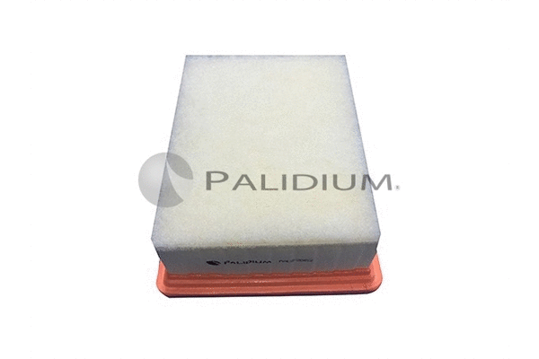 Air Filter (PAL2-2062)
