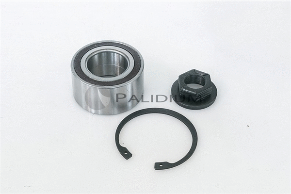 Wheel Bearing Kit (PAL6-1013)