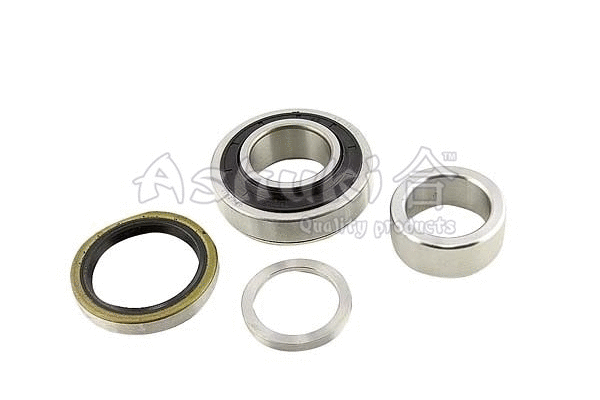 Wheel Bearing Kit (K803-01)