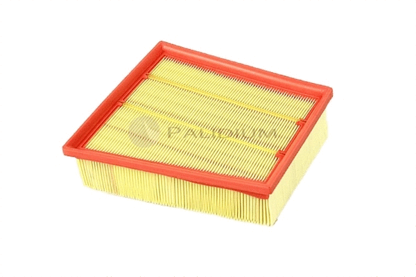 Air Filter (PAL2-2518)