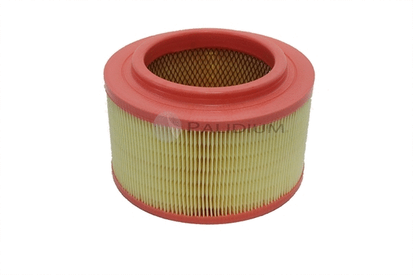 Air Filter (PAL2-2542)