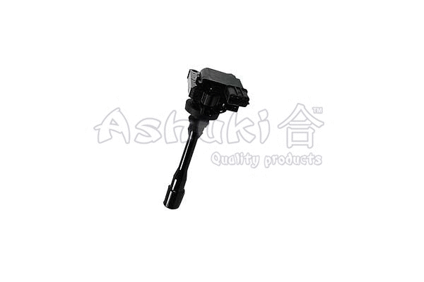 Ignition Coil (C980-05)