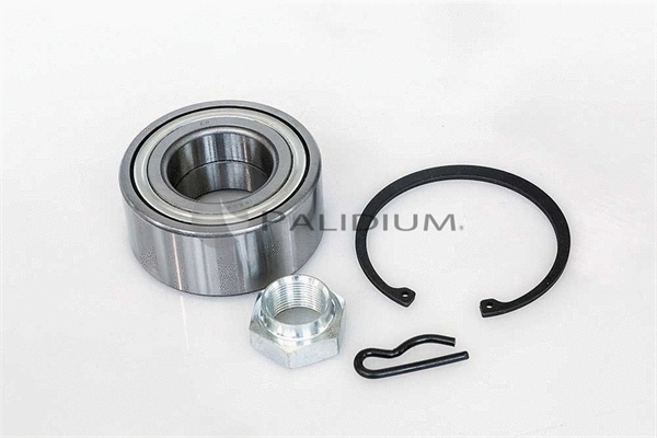 Wheel Bearing Kit (PAL6-1005)