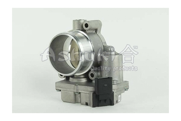 Throttle Body (Y445-05)