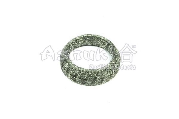 Gasket, exhaust pipe (T220-10)