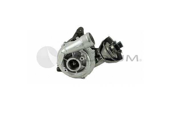 Charger, charging (supercharged/turbocharged) (PAL20-0048)