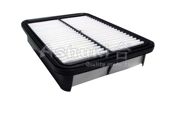 Air Filter (T105-05)