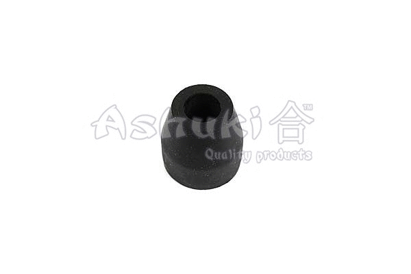 Mounting, control/trailing arm (K702-01R)