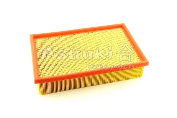 Air Filter (0396-4601)