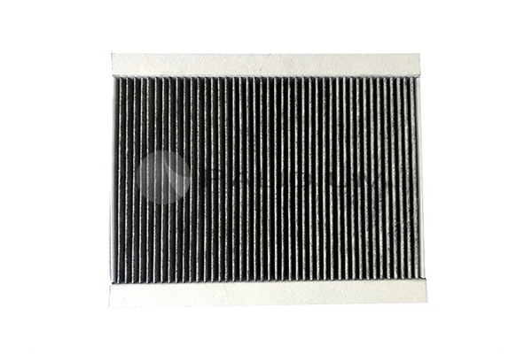 Filter, cabin air (PAL2-4056)