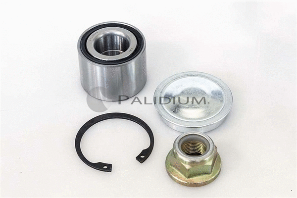 Wheel Bearing Kit (PAL6-1001)